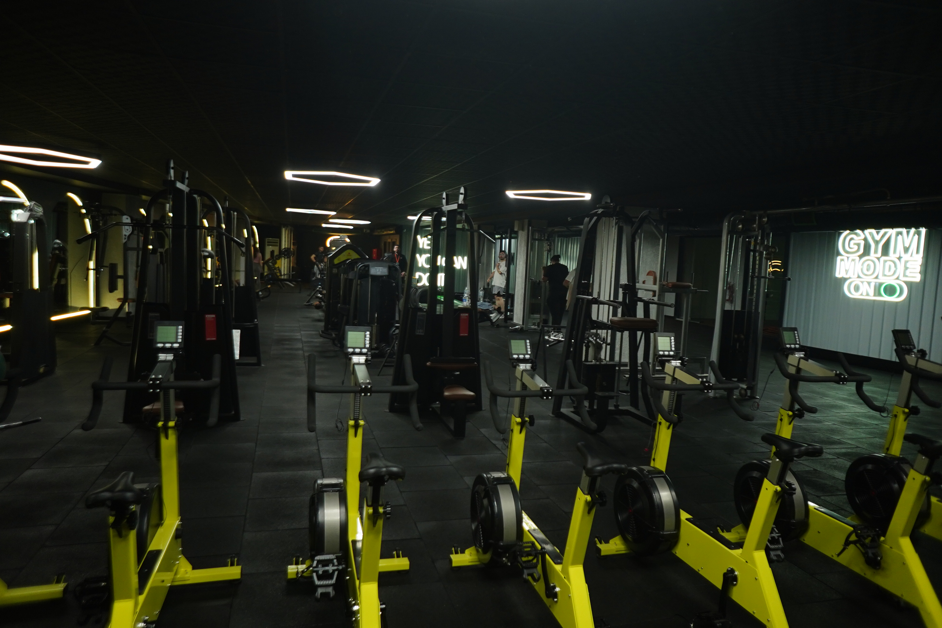 Olympus Gold Çınar görsel 2